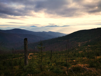 Mountain landscape of the silesian beskids.