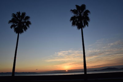 Silhouette palm trees on beach against sky during sunset