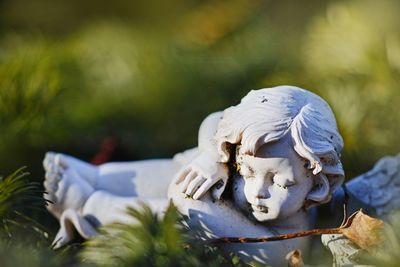 Close-up of statue against plants