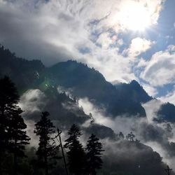 Low angle view of trees against cloudy sky