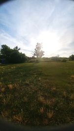 Scenic view of field against sky at sunset