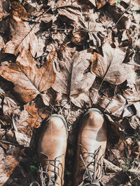 Low section of person standing by dry leaves