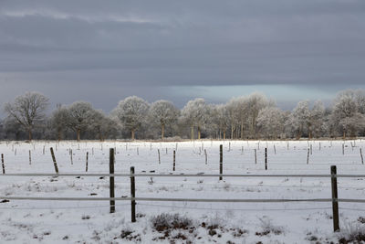 Trees on snow covered field against sky