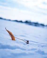 Close-up of snow on land against sky