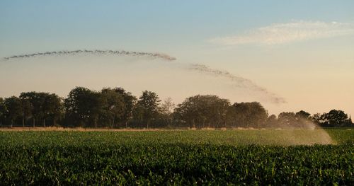 Scenic view of field against sky