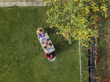 High angle view of person relaxing on field