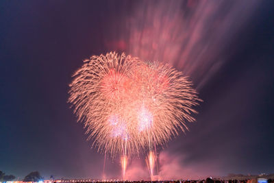 Low angle view of fireworks against sky at night