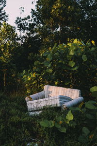 Trees and plants growing on field