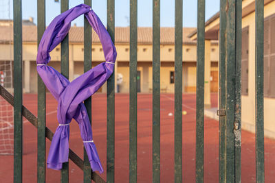 Close-up of blue hanging on metal fence