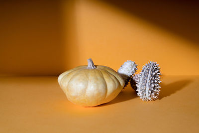 Minimalist creative composition of pumpkins in soft natural light with shadows 