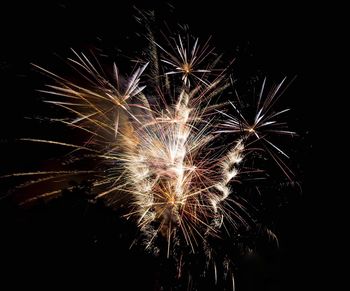 Low angle view of firework display at night