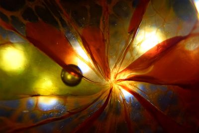 Close-up of illuminated water