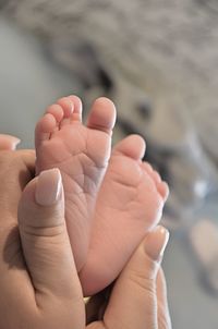 Close-up of mother holding baby legs 