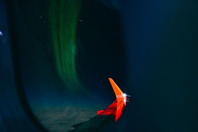 Northern lights seen through air plane window