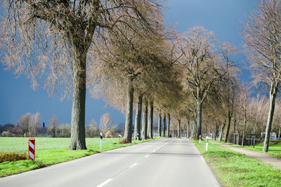 Road amidst trees against sky