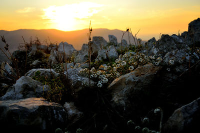 Close-up of rocks against sky during sunset