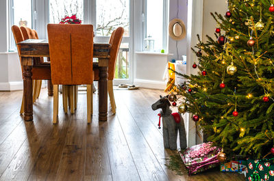 View of christmas tree at home