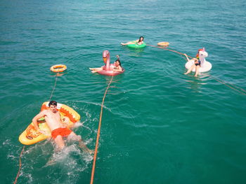 High angle view of ducks in sea