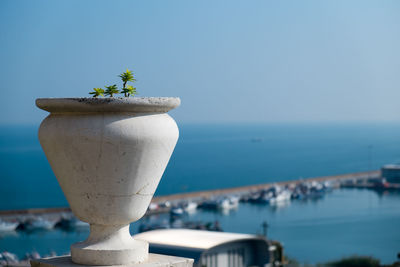 Potted plant against sea