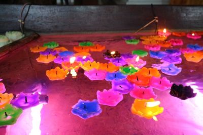 High angle view of illuminated multi colored flowers