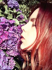 Close-up of pink flowers