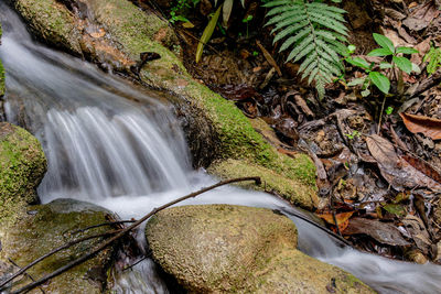 Scenic view of waterfall