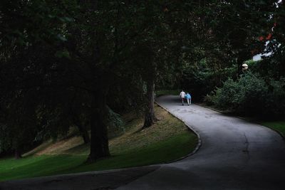 View of footpath along trees