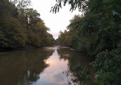 Reflection of trees in water against sky