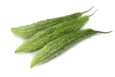 Close-up of leaf against white background