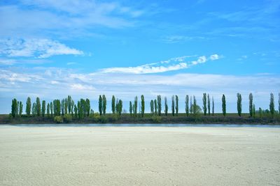 Scenic view of beach against blue sky