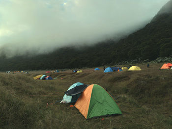 Tents camping in the savanna of gunung gede pangrango with a forest background and falling fog kabut