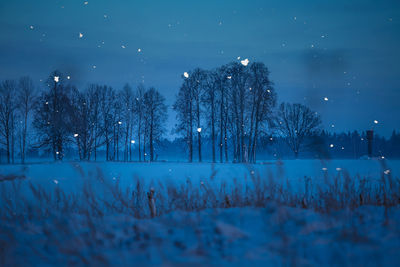 A beautiful, dark winter scenery while snowing. bright white snowflakes.