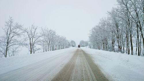 Bare trees on snow covered landscape