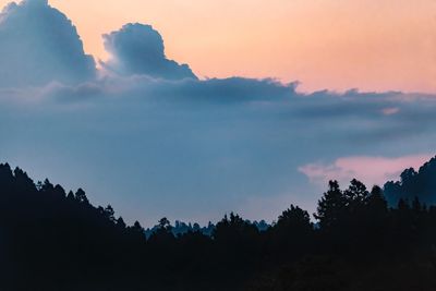 Low angle view of silhouette trees against sky during sunset