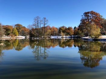 Reflection of trees in lake against blue sky