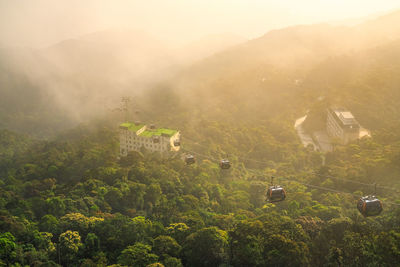 High angle view of trees on landscape