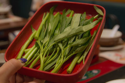 Close-up of hand holding vegetables