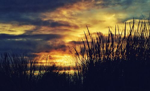 Scenic view of landscape at sunset