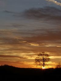 Silhouette trees on landscape against sky during sunset