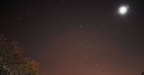 Low angle view of star field against star field