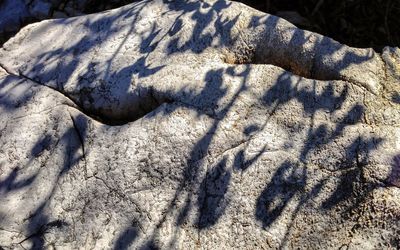 Close-up of snow on land