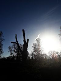 Silhouette bare tree against clear sky
