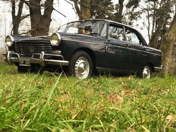 Abandoned car on field