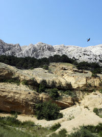 Bird flying over mountain against clear sky
