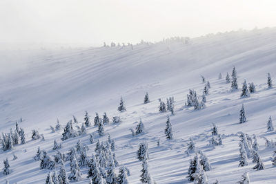 Panoramic view of landscape against sky during winter