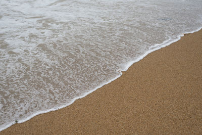 Close-up of sea shore at beach