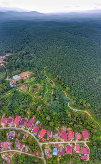 High angle view of agricultural field against sky