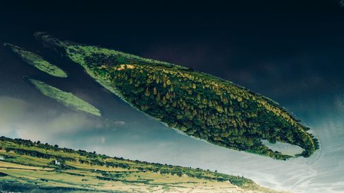 Close-up of lizard on land against the sky