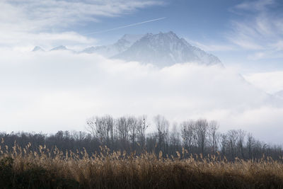 Scenic view of field against sky