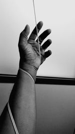 Close-up of hand holding leaf against wall